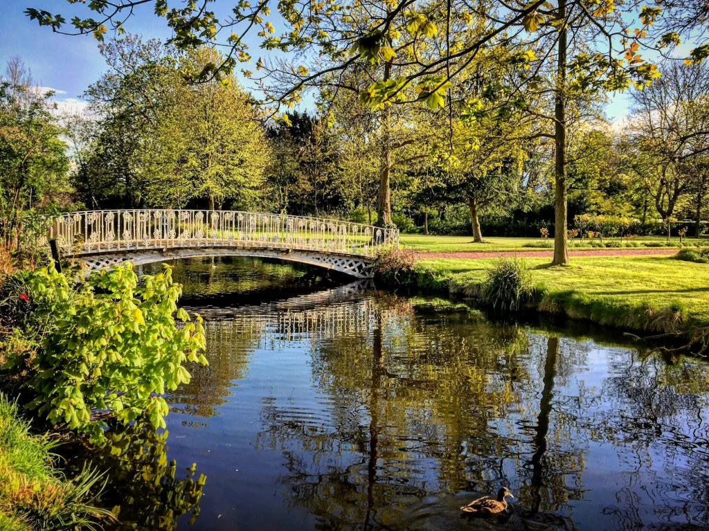 Pretty lace bridge over water in morden Hall Park,London